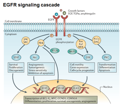 20230130/85d8601f538ff1ed0c7c834d08868d14.png /tmp/php4pL3YC